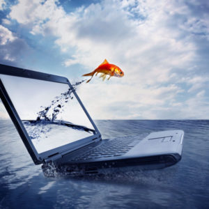 Γνωμοδοτήσεις